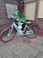 Gazelle Esprit Dames 49cm 28 inch in staat van nieuw, Fietsen en Brommers, Fietsen | Dames | Damesfietsen, 47 tot 50 cm, Ophalen of Verzenden