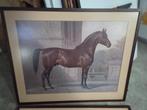 Twee ingelijste paardenprenten - Otto Eerelman, Ophalen of Verzenden