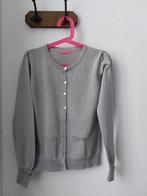 Le Big Vestje! Zilver/Glitter. Maat 134/140, Gebruikt, Meisje, Trui of Vest, Ophalen of Verzenden