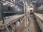 Inventaris melkgeitenbedrijf, Dieren en Toebehoren, Schapen, Geiten en Varkens, Meerdere dieren, Geit