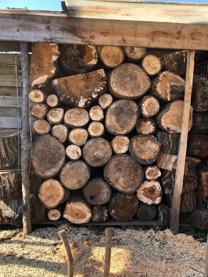 Stamhout acacia/eiken, Tuin en Terras, Haardhout, Stammen, Minder dan 3 m³, Ophalen