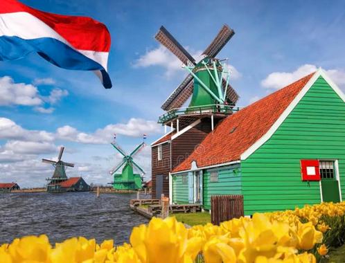 ROOMS FOR RENT WITH REGISTRATION ADRES, Huizen en Kamers, Kamers te huur, Rotterdam