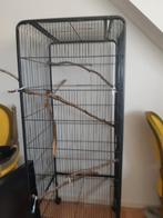 Koppeltje valkparkieten, vogelkooi, Dieren en Toebehoren, Vogels | Overige Vogels, Meerdere dieren, Tam