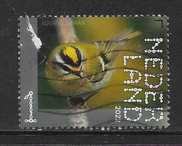 2022, Leuvenumse Bossen, Vuurgoudhaan [4050] (K0802) beschikbaar voor biedingen