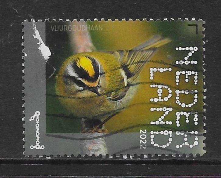 2022, Leuvenumse Bossen, Vuurgoudhaan [4050] (K0802), Postzegels en Munten, Postzegels | Nederland, Ophalen of Verzenden