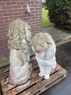2  Prachtige Leeuwenbeelden te Koop, Ophalen of Verzenden, Gebruikt, Beton, Dierenbeeld