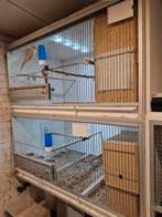 Dubbele broedkooi, Dieren en Toebehoren, Ophalen, Gebruikt, Hout, Broedkooi of Kweekkooi