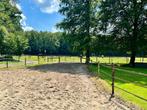 Weidegang en stalling op toplocatie!, Stalling, 1 paard of pony