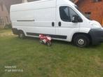 Citroën Citroen 2010 Wit camper prijs zie beschrijving, Auto's, Citroën, Voorwielaandrijving, 2431 kg, 2500 kg, Wit