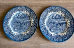 2 antieke Royal Tudor Ware handgeschilderde borden, Antiek en Kunst, Ophalen of Verzenden