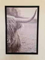 Canvas met zwarte houten omlijsting Schotse hooglander, Minder dan 50 cm, Gebruikt, 50 tot 75 cm, Ophalen of Verzenden