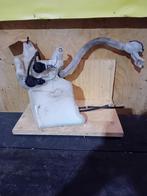 Ruitensproeier reservoir Toyota IQ bj. 2009, Auto-onderdelen, Gebruikt, -, Ophalen of Verzenden, Toyota