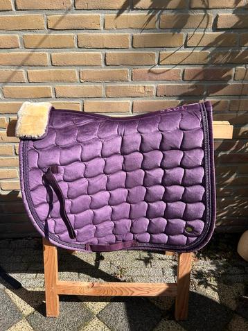 Mooi skøl dekje! beschikbaar voor biedingen