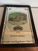 Britvic, Ophalen of Verzenden, Gebruikt, Gebruiksvoorwerp
