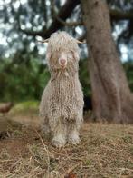 Angora geit dekbok (2025), Dieren en Toebehoren, Mannelijk, Geit