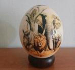 struisvogelei struisvogel ei afrika Aafrikaanse afrikaans, Ophalen of Verzenden