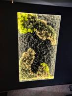 Mooie wanddecoratie van mos, Ophalen of Verzenden, Nieuw