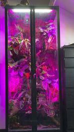 Bioactief zelfbouw Terrarium, Dieren en Toebehoren, Reptielen en Amfibieën | Toebehoren, Ophalen, Zo goed als nieuw, Terrarium of Paludarium