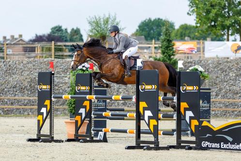 Fanatieke 16 jarige schoolmaster, Dieren en Toebehoren, Paarden, Merrie, Springpaard