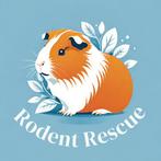 Vakantieopvang Knaagdieren Cavia’s, Meerdere dieren, Cavia, Na 1 juli 2024