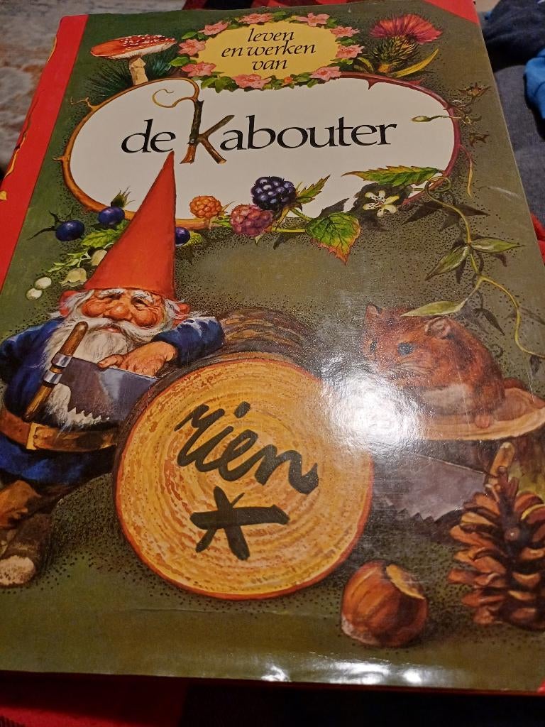 Rien poortvliet /  de kabouter, Ophalen of Verzenden, Zo goed als nieuw