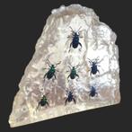 Prachtig harsblok met insecten (kevers), weegt 928 g, Verzenden, Gebruikt, Insect, Overige typen