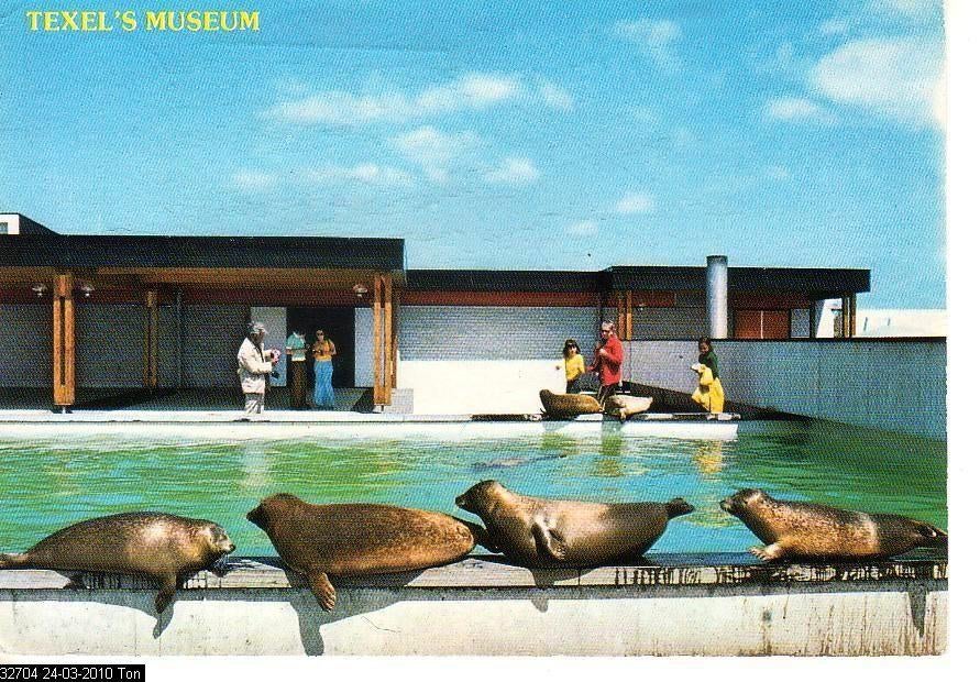Ansichtkaart	Texel	Museum	Zeehonden, Verzenden, 1980 tot heden, Gelopen, Waddeneilanden