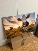 Wanddecoratie koeien canvas doek 90x60 nieuw, Ophalen of Verzenden, Nieuw