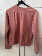 Roze trui maat s, Kleding | Dames, Zara, Ophalen of Verzenden, Zo goed als nieuw, Roze
