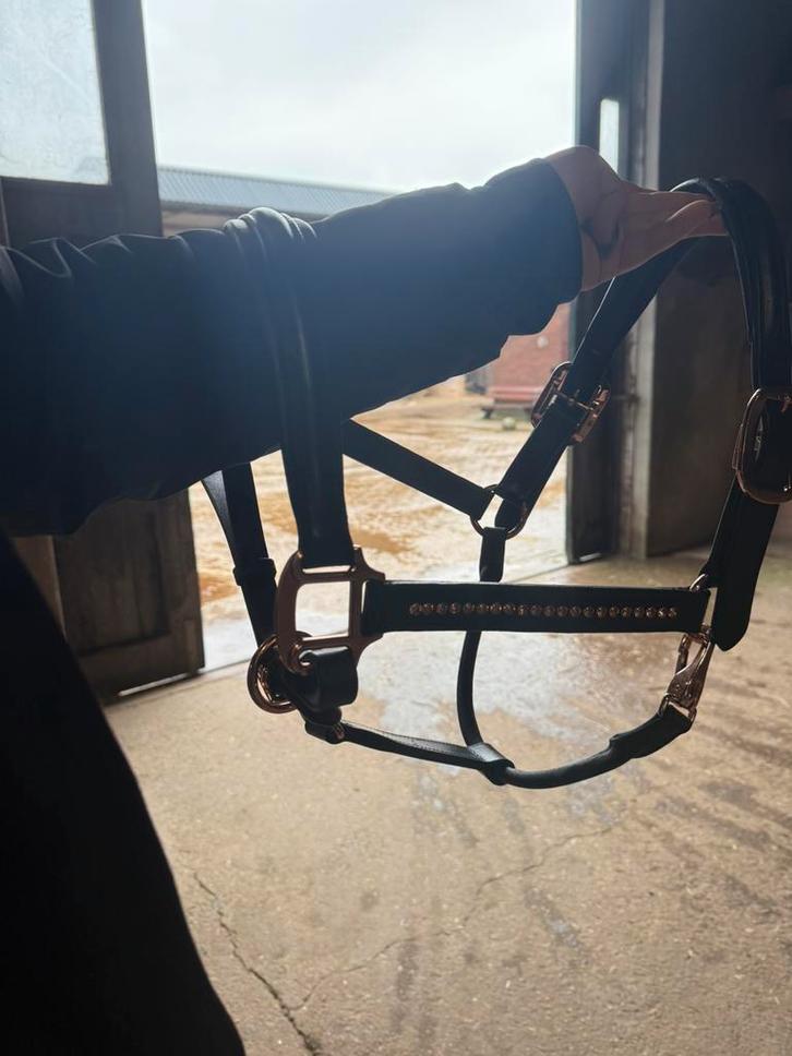 LEERHALSTER zwart met rose gold FULL, Dieren en Toebehoren, Paarden en Pony's | Verzorgingsproducten, Zo goed als nieuw, Ophalen of Verzenden