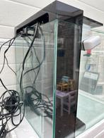 Zee aquarium blue marine. Reef 60. Compleet, Dieren en Toebehoren, Ophalen, Zo goed als nieuw, Overige typen