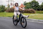 DYU C1 elektrische fiets, Ophalen of Verzenden, Frame