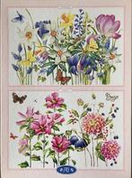 voorjaar/herfst, Ophalen of Verzenden, Meer dan 1500 stukjes, Nieuw, Legpuzzel