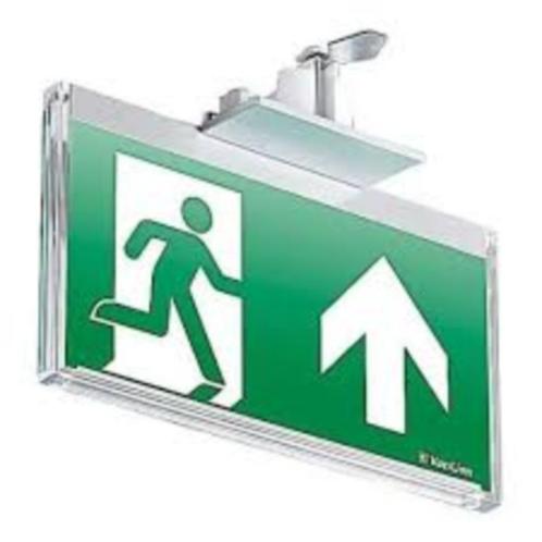 Van Lien Evago Noodverlichtingsarmatuur 4510256062 nieuw., Doe-het-zelf en Verbouw, Bouwverlichting, Nieuw, Lamp, Ophalen of Verzenden