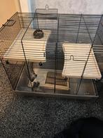 Hamster kooi, Kooi, Minder dan 75 cm, Minder dan 60 cm, Gebruikt