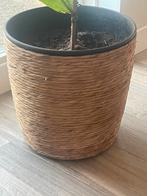 Grote rotan bloempotten 2x, Huis en Inrichting, Ophalen of Verzenden, Zo goed als nieuw