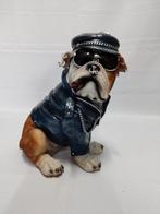 Engelse Bulldog biker buldog YMCA zonnebril en ketting, Verzamelen, Ophalen, Nieuw, Dier