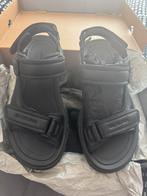 Balenciaga Sandalen 43 NIEUW in doos (unisex), Kleding | Heren, Schoenen, Sandalen, Zwart, Nieuw, Ophalen of Verzenden