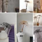 Gedroogde Berenklauw Decoratie - Naturel & Zwart, Huis en Inrichting, Woonaccessoires | Droogbloemen, Ophalen, Nieuw