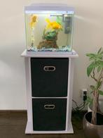 Aquarium superfish 30L complete set + meubel + acces. (2023), Zo goed als nieuw, Ophalen, Leeg aquarium