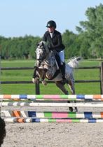 Allround super pony, betrouwbaar met super karakter, B, Gechipt, Ruin, 3 tot 6 jaar