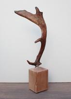 DAMHERT GEWEI op houten sokkel - ref. E, Ophalen of Verzenden, Nieuw, Hert, Gewei of Kop