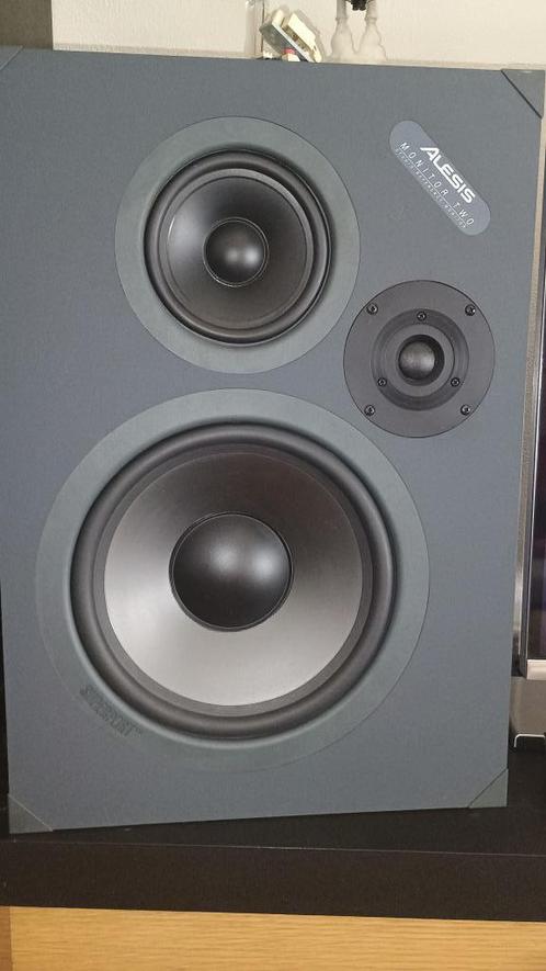 Alesis Monitor 2 set met RA 300 eindversterker, Muziek en Instrumenten, Versterkers | Keyboard, Monitor en PA, Gebruikt, Monitor(versterker)