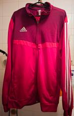 Adidas Traininsjas, Ophalen of Verzenden, Gedragen, Rood, Algemeen