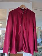 Witteveen Bordeauz vestje 46 48, Kleding | Dames, Trui of Vest, Ophalen of Verzenden, Zo goed als nieuw, Witteveen