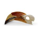 Schedel Deckentok man PREPARATENSHOP, Verzamelen, Dierenverzamelingen, Ophalen of Verzenden, Nieuw, Vogel, Schedel