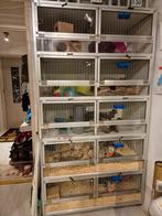 Alluminium knaagdier stelling, Dieren en Toebehoren, Ophalen, 90 cm of meer, Hok, Muis