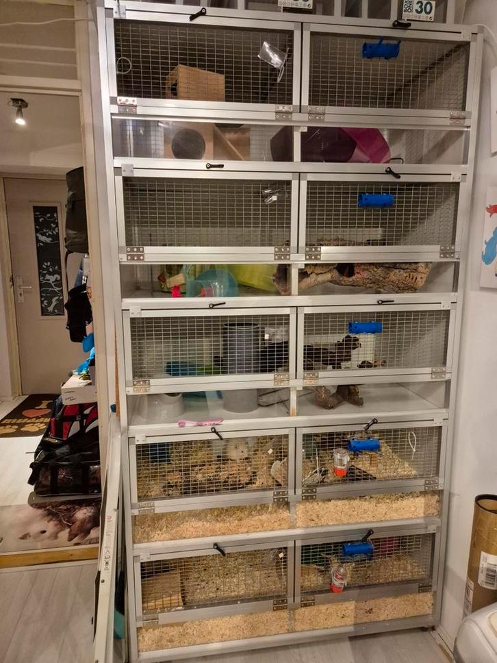 Alluminium knaagdier stelling, Dieren en Toebehoren, Knaagdieren en Konijnen | Hokken en Kooien, Gebruikt, Hok, 90 cm of meer