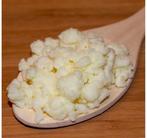 Melkkefir-korrels (plantje), Ophalen of Verzenden