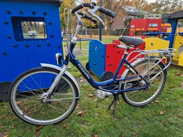 Gazelle Bloom  beschikbaar voor biedingen